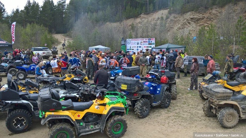 Эл+Бэлл. Шила в мешке не утаишь - 1