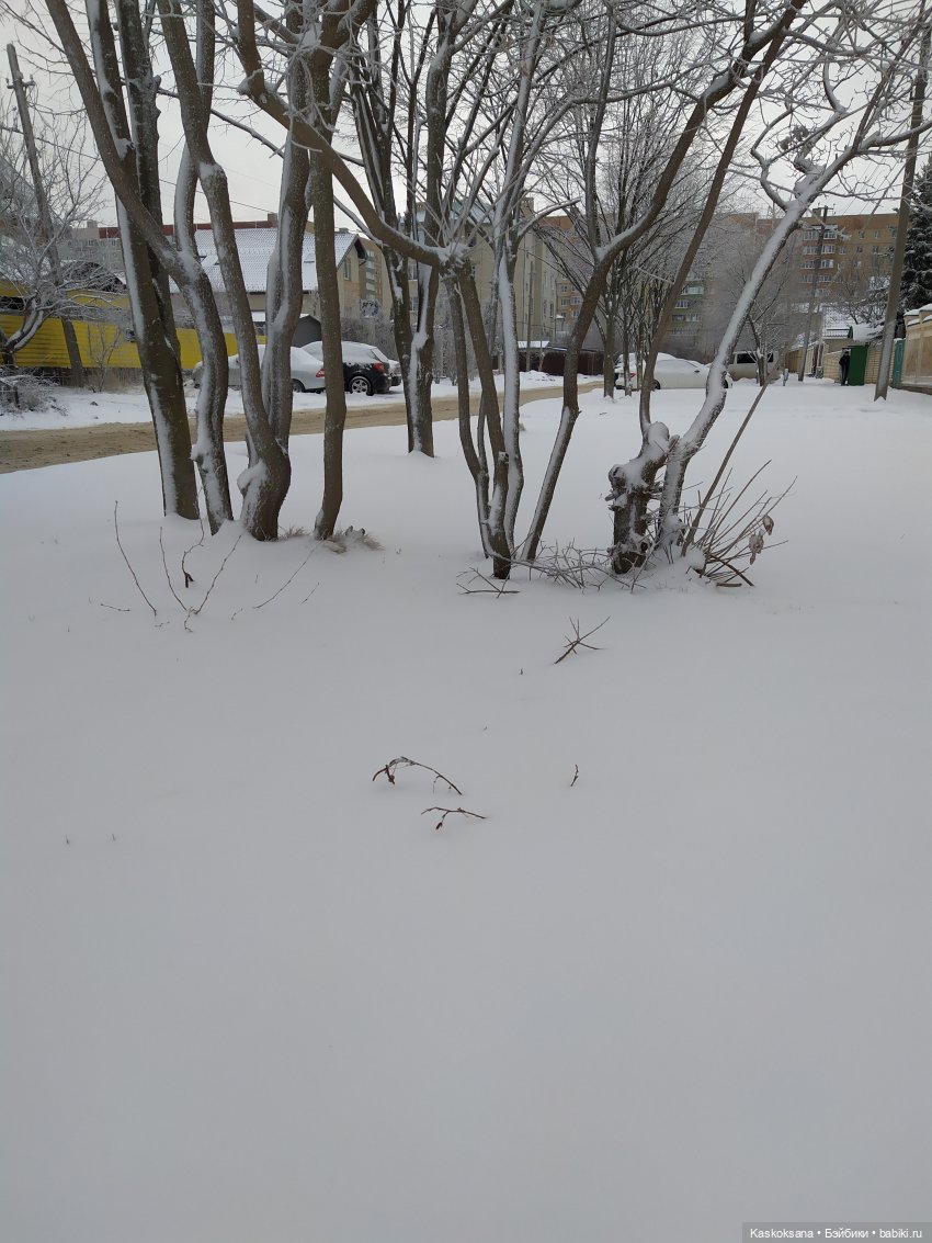 Эл+Бэлл. Просто быть рядом