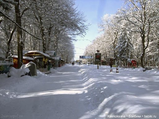 Эл+Бэлл. Давай без этого — Кукольные фотоистории и сериалы: комиксы