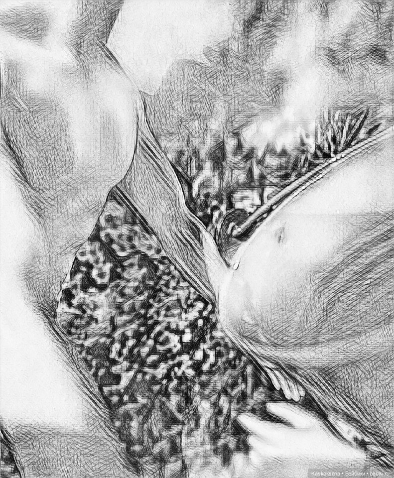 Эл+Бэлл. Марьяна — Кукольные фотоистории и сериалы: комиксы