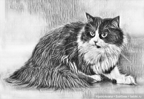 Эл+Бэлл. Марьяна — Кукольные фотоистории и сериалы: комиксы