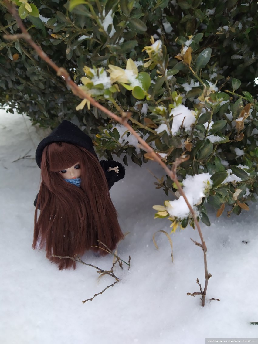 Зачем Яське топик — Разные шарнирные куклы (не БЖД): редкие