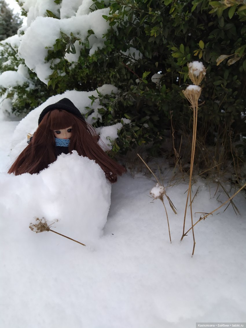 Зачем Яське топик — Разные шарнирные куклы (не БЖД): редкие