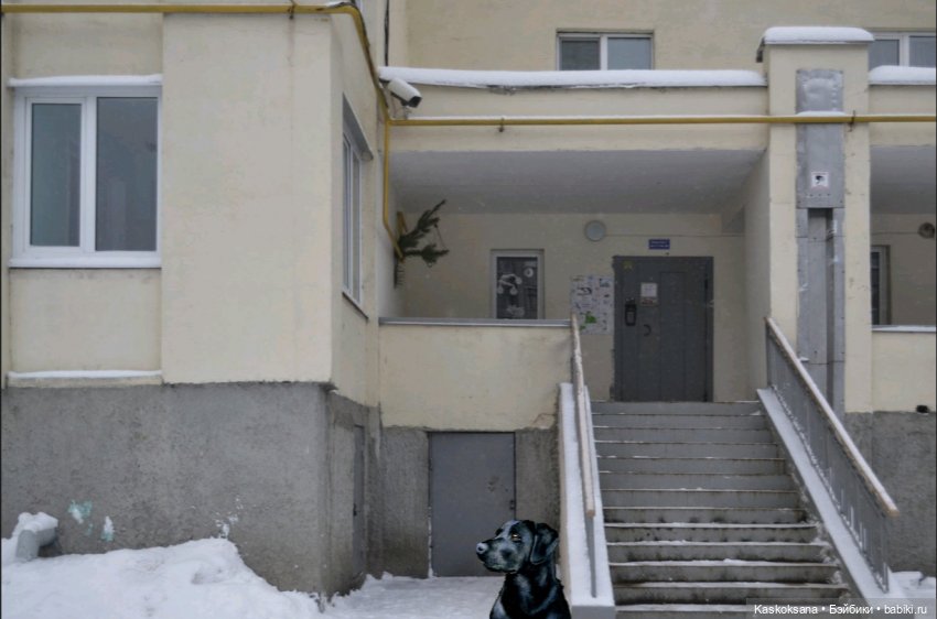 Эл+Бэлл. Внезапно — Кукольные фотоистории и сериалы: комиксы