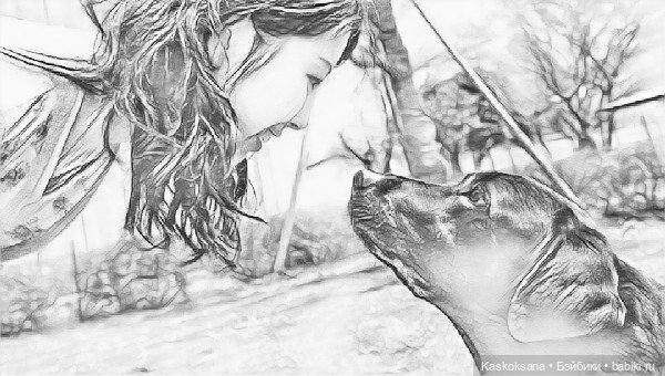 Эл+Бэлл. Внезапно — Кукольные фотоистории и сериалы: комиксы