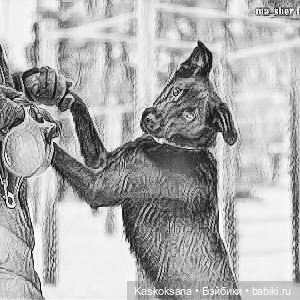 Эл+Бэлл. Внезапно — Кукольные фотоистории и сериалы: комиксы (фото 3)