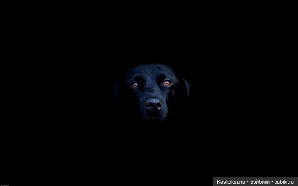 Эл+Бэлл. Внезапно — Кукольные фотоистории и сериалы: комиксы (фото 6)