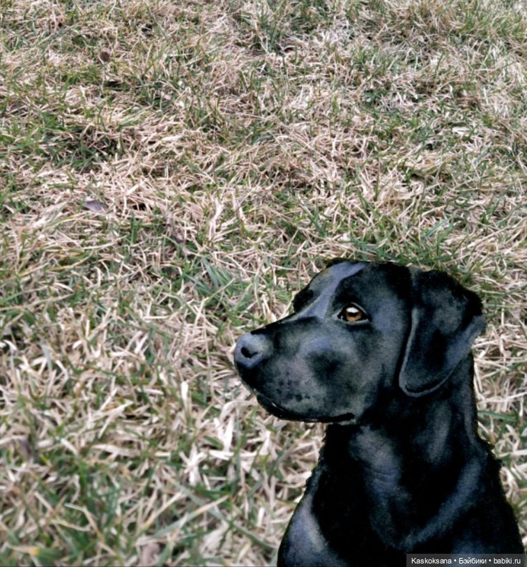 Эл+Бэлл. А завтра весна — Кукольные фотоистории и сериалы: комиксы (фото 8)