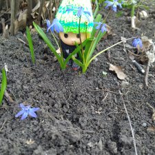 Весенние истории Любимчиков. Инвентаризация