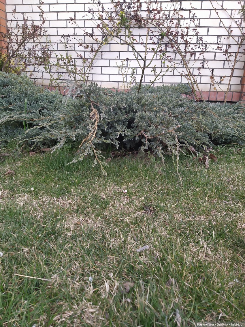 Эл+Бэлл. Свадебное утро. Встреча гостей в "ЗАмке"