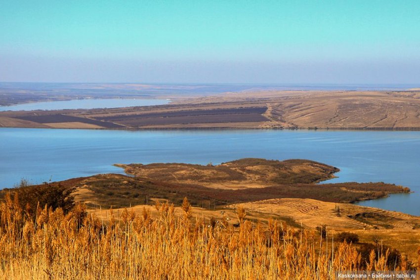 Эл+Бэлл. Свадебное утро. Встреча гостей в "ЗАмке"