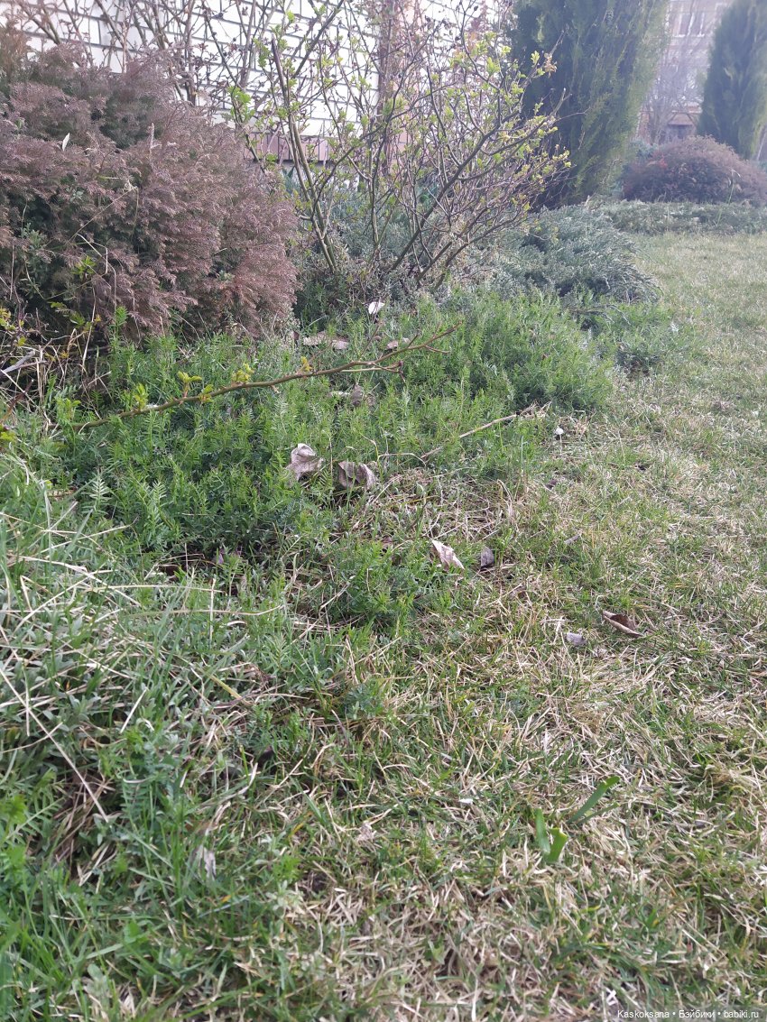 Эл+Бэлл. Свадебное утро. Встреча гостей в "ЗАмке"
