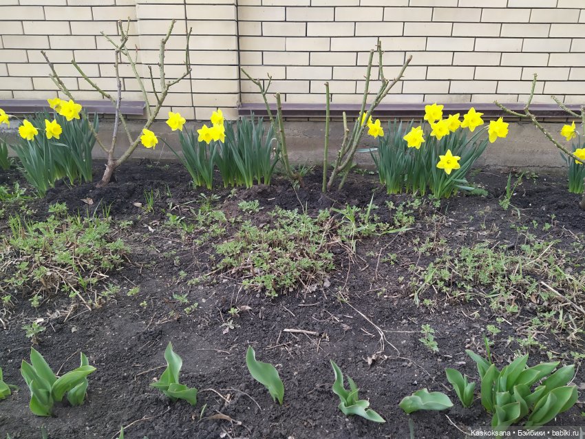 Эл+Бэлл. Свадебное утро. Встреча гостей в "ЗАмке"