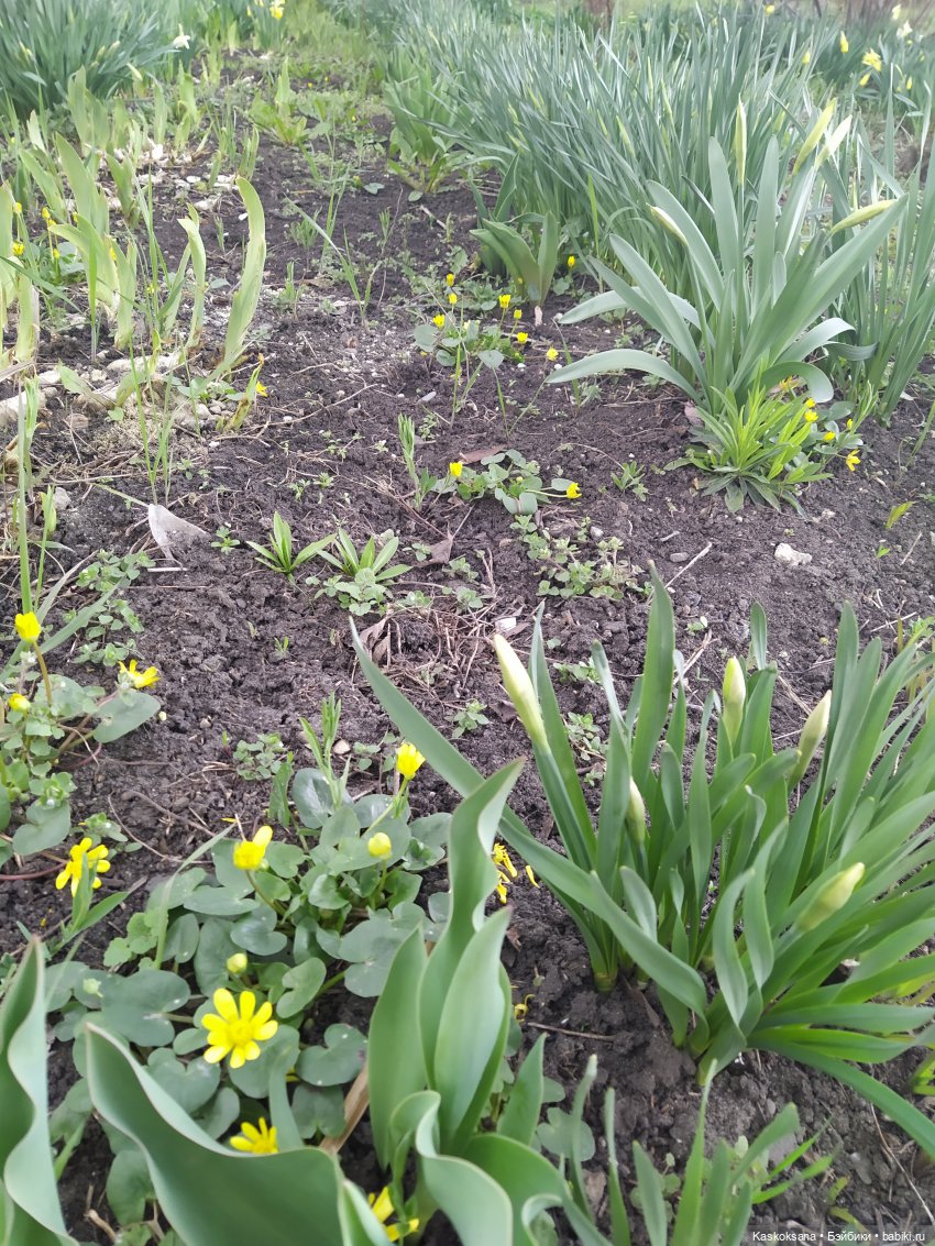 Эл+Бэлл. Свадебное утро. Встреча гостей в "ЗАмке"