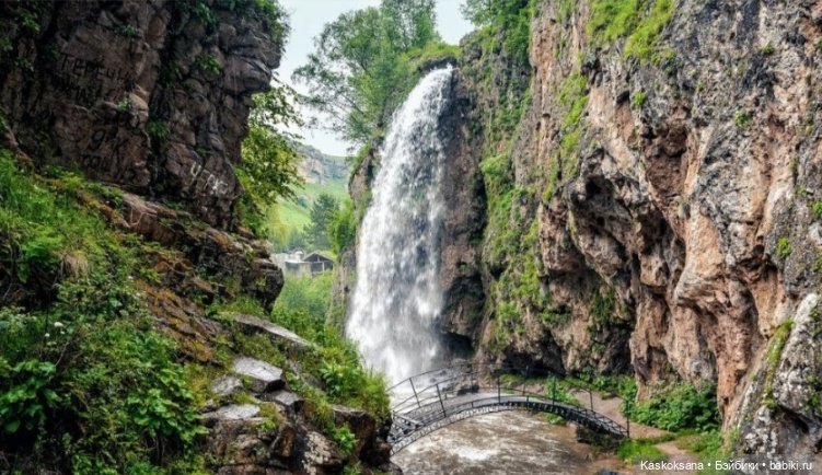 Эл+Бэлл. Свадебное утро. Встреча гостей в "ЗАмке"