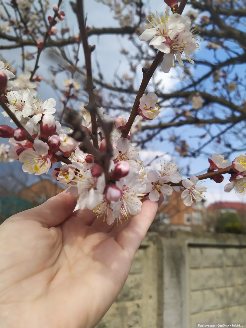 Эл+Бэлл. Свадебное утро. Встреча гостей в "ЗАмке"