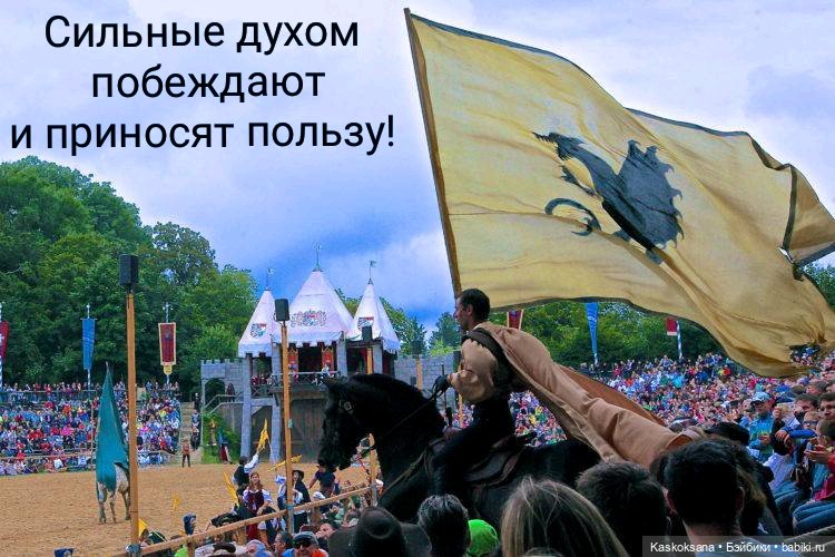 Эл+Бэлл. Свадебная церемония и Рыцарский турнир | Бэйбики Эл+Бэлл. Свадебная церемония и Рыцарский турнир