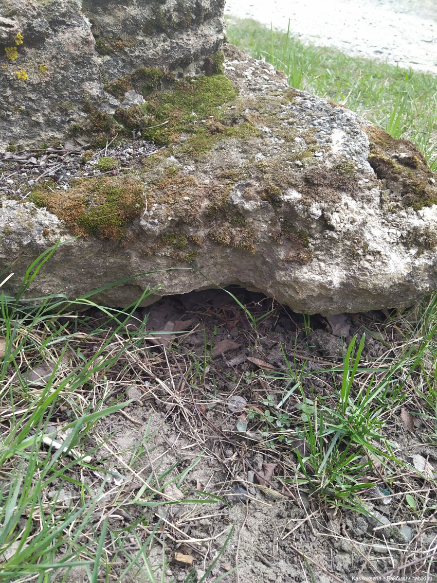 Эл+Бэлл. Как украсть невесту 2