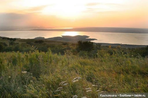 Эл+Бэлл. Вечер свадьбы. Танцы и гуляния под луной | Бэйбики Эл+Бэлл. Вечер свадьбы. Танцы и гуляния под луной