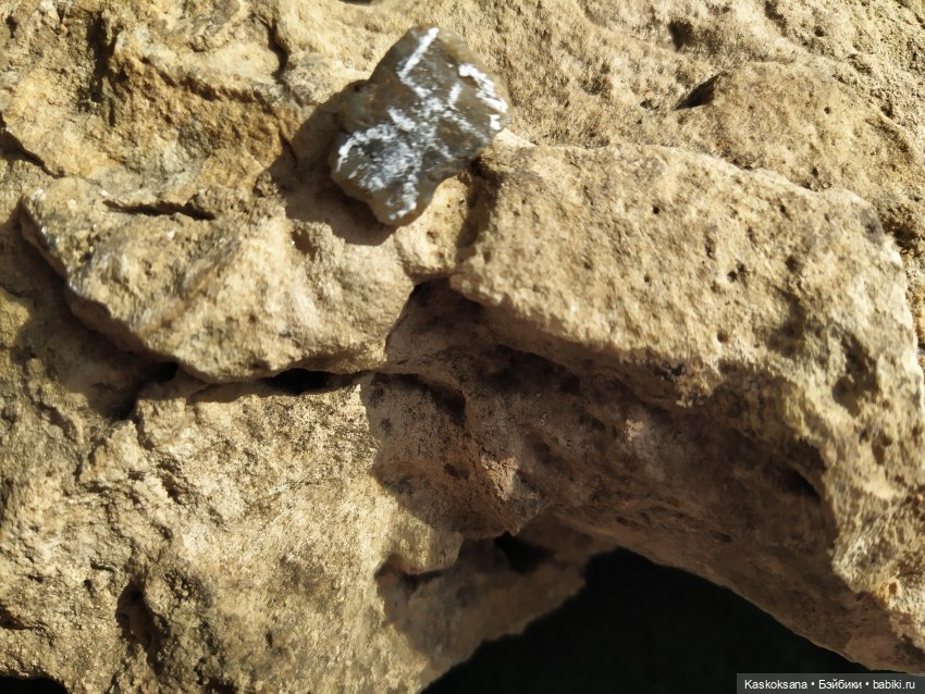 Эл+Бэлл. Свадебная церемония и Рыцарский турнир | Бэйбики Эл+Бэлл. Свадебная церемония и Рыцарский турнир