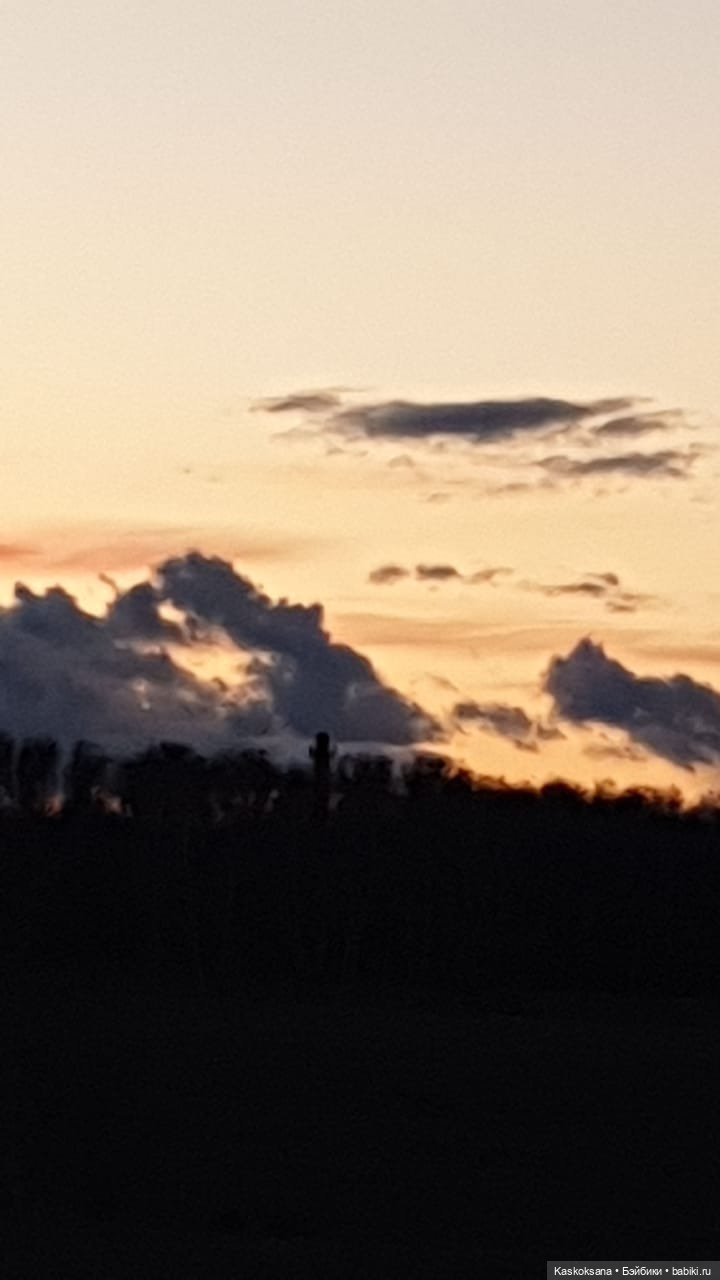 Эл+Бэлл. Вечер свадьбы. Танцы и гуляния под луной | Бэйбики Эл+Бэлл. Вечер свадьбы. Танцы и гуляния под луной (фото 3)