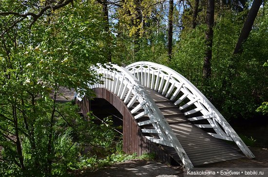 Эл+Бэлл. Борщ и вручение ОРДЕНА КАЗУСА (фото 5)