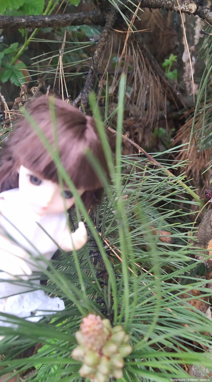 Босая Яська в рубрике "Остановись, мгновенье!" (фото 10)