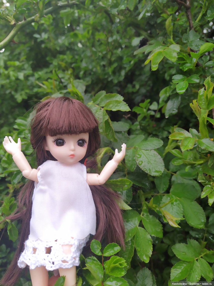 Босая Яська в рубрике "Остановись, мгновенье!" (фото 4)