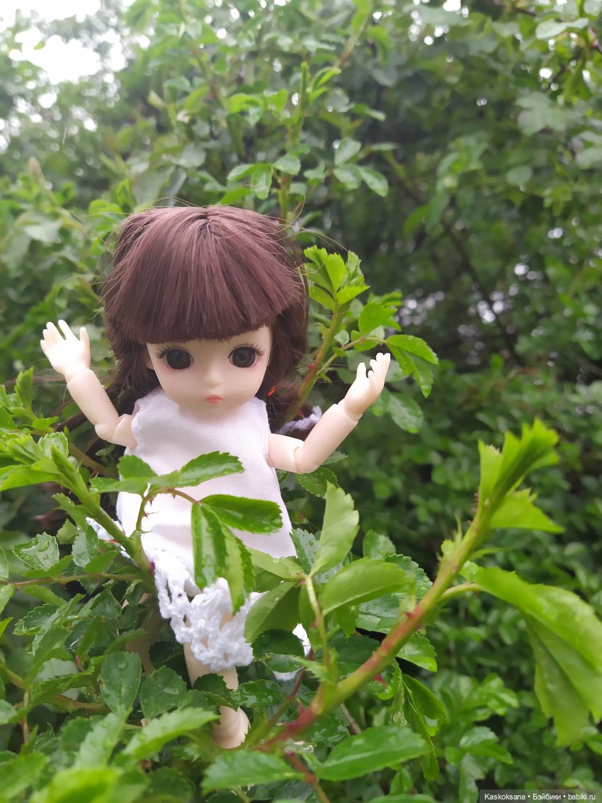 Босая Яська в рубрике "Остановись, мгновенье!" (фото 7)