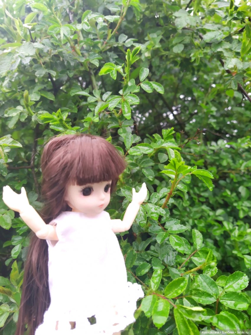 Босая Яська в рубрике "Остановись, мгновенье!" (фото 6)