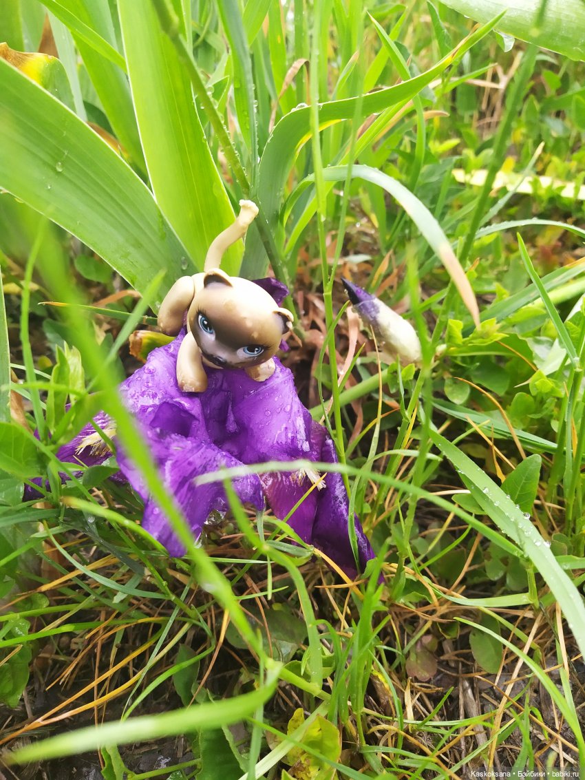 "Остановись, мгновенье!" У природы нет плохой погоды | Бэйбики "Остановись, мгновенье!" У природы нет плохой погоды