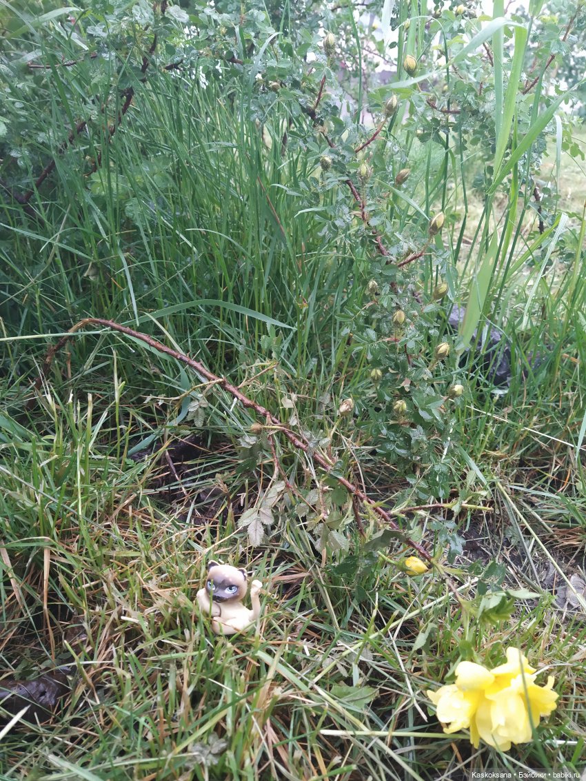 "Остановись, мгновенье!" У природы нет плохой погоды | Бэйбики "Остановись, мгновенье!" У природы нет плохой погоды