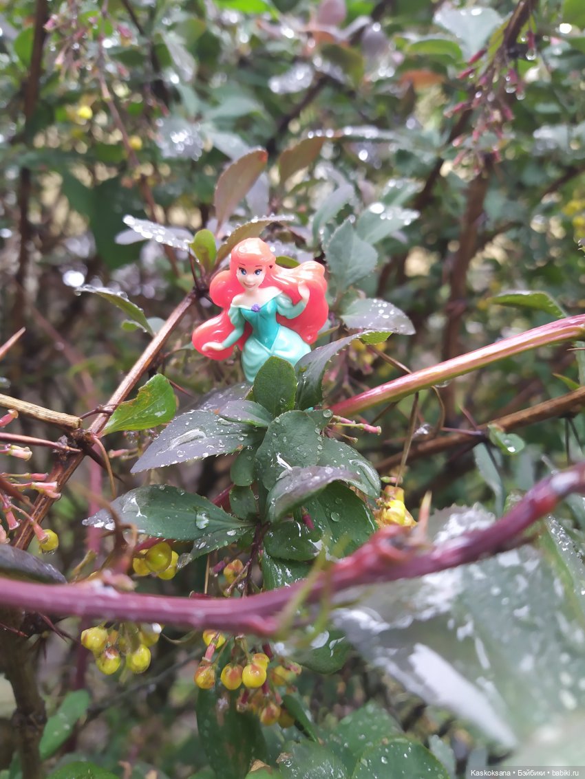 "Остановись, мгновенье!" У природы нет плохой погоды | Бэйбики "Остановись, мгновенье!" У природы нет плохой погоды