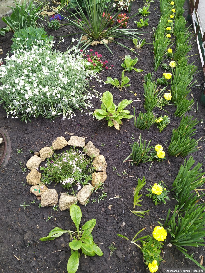 "Остановись, мгновенье!" У природы нет плохой погоды | Бэйбики "Остановись, мгновенье!" У природы нет плохой погоды