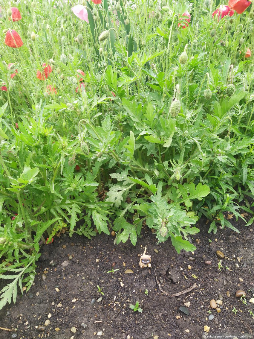 "Остановись, мгновенье!" У природы нет плохой погоды | Бэйбики "Остановись, мгновенье!" У природы нет плохой погоды