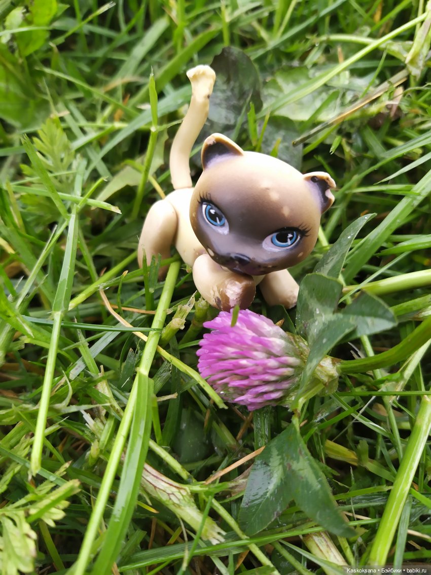 "Остановись, мгновенье!" У природы нет плохой погоды | Бэйбики "Остановись, мгновенье!" У природы нет плохой погоды