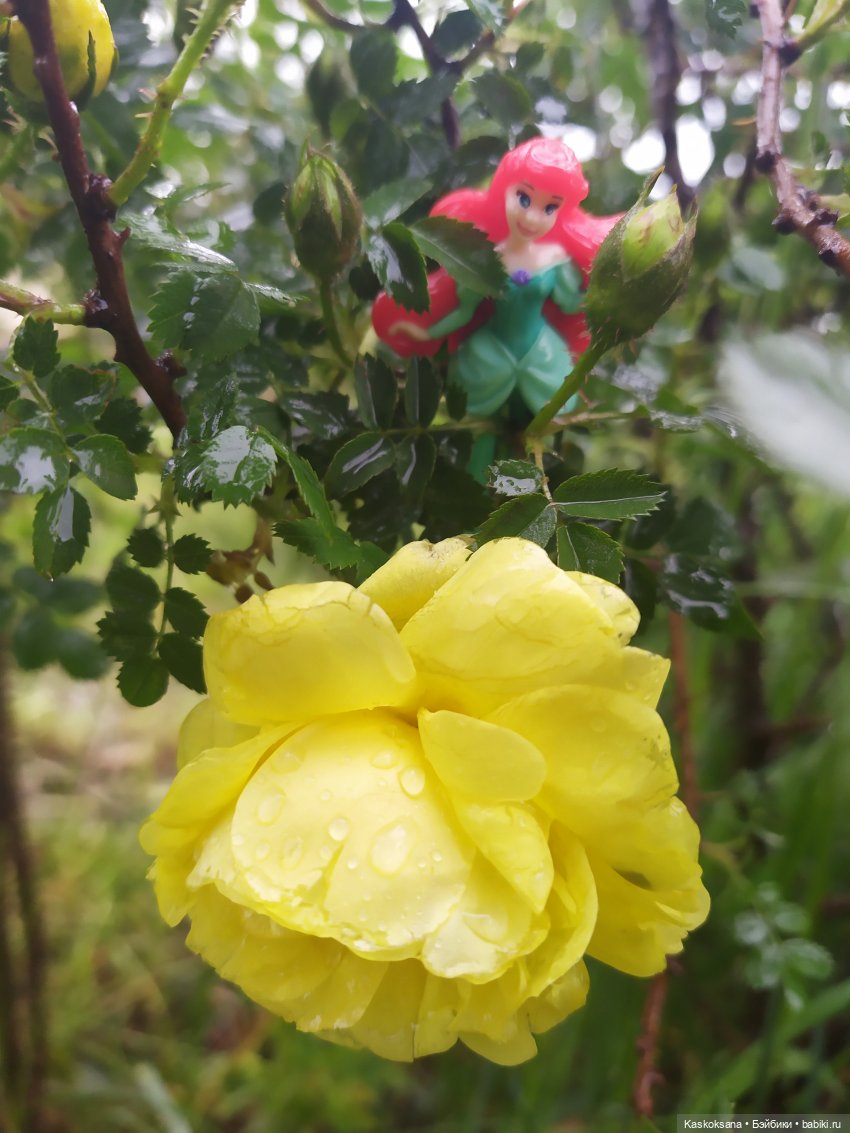 "Остановись, мгновенье!" У природы нет плохой погоды | Бэйбики "Остановись, мгновенье!" У природы нет плохой погоды (фото 10)