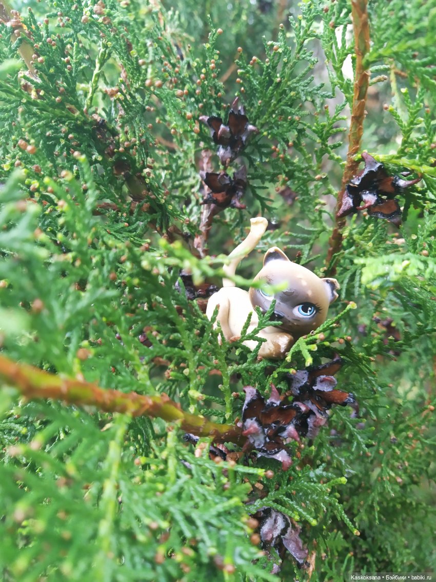 "Остановись, мгновенье!" У природы нет плохой погоды | Бэйбики "Остановись, мгновенье!" У природы нет плохой погоды
