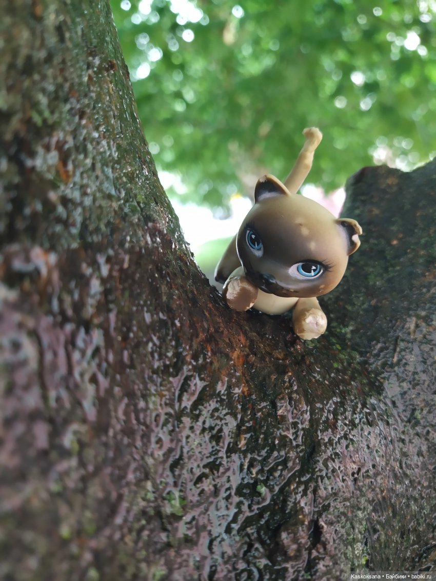 "Остановись, мгновенье!" У природы нет плохой погоды | Бэйбики "Остановись, мгновенье!" У природы нет плохой погоды (фото 9)