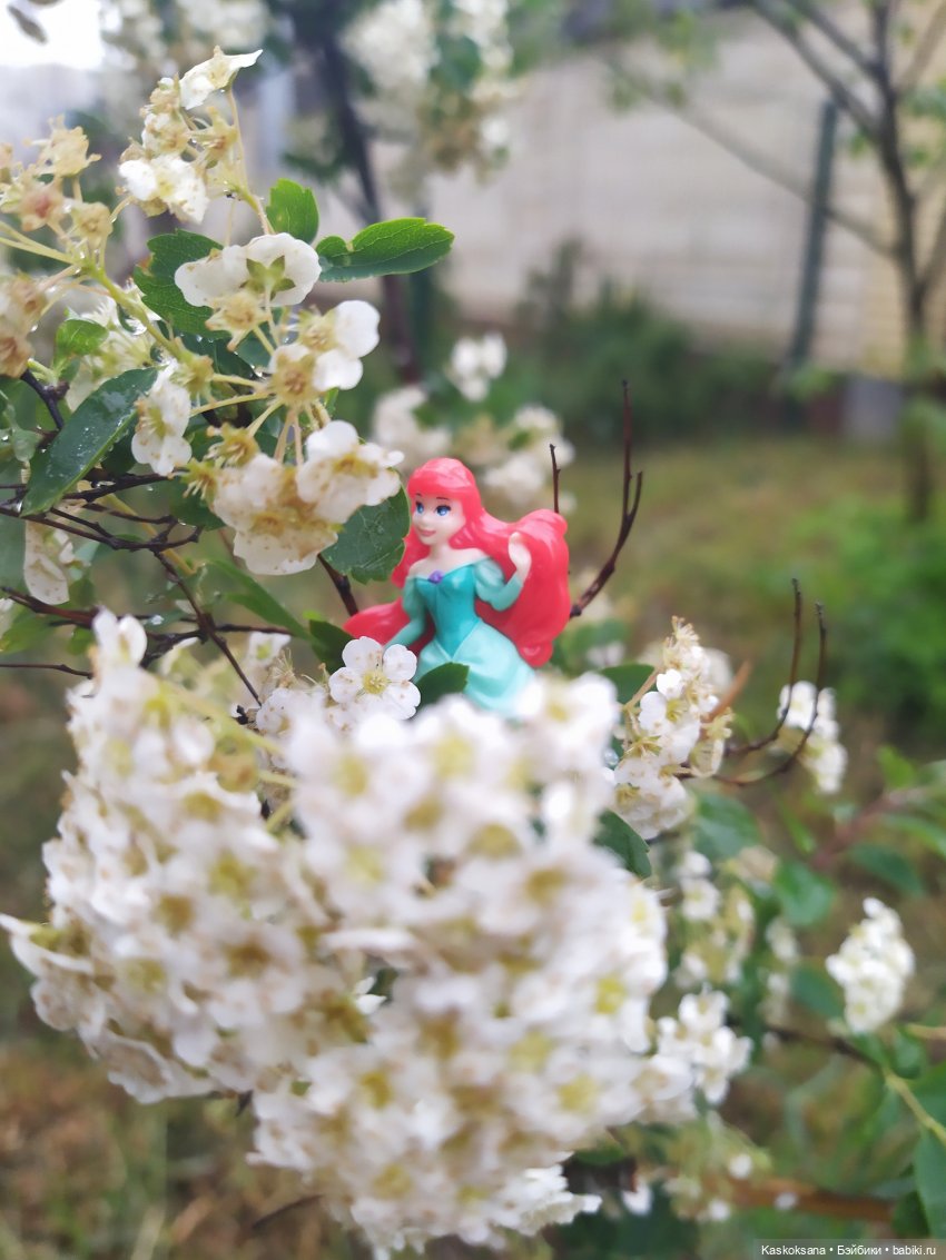 "Остановись, мгновенье!" У природы нет плохой погоды | Бэйбики "Остановись, мгновенье!" У природы нет плохой погоды