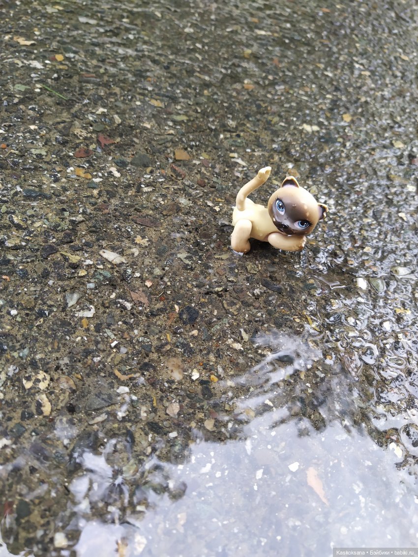 "Остановись, мгновенье!" У природы нет плохой погоды | Бэйбики "Остановись, мгновенье!" У природы нет плохой погоды (фото 7)