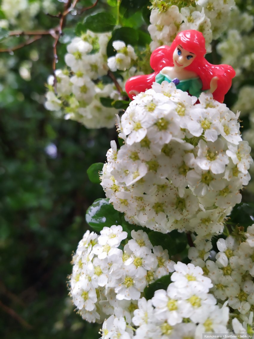 "Остановись, мгновенье!" У природы нет плохой погоды | Бэйбики "Остановись, мгновенье!" У природы нет плохой погоды