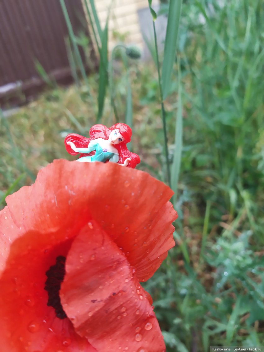 "Остановись, мгновенье!" У природы нет плохой погоды | Бэйбики "Остановись, мгновенье!" У природы нет плохой погоды