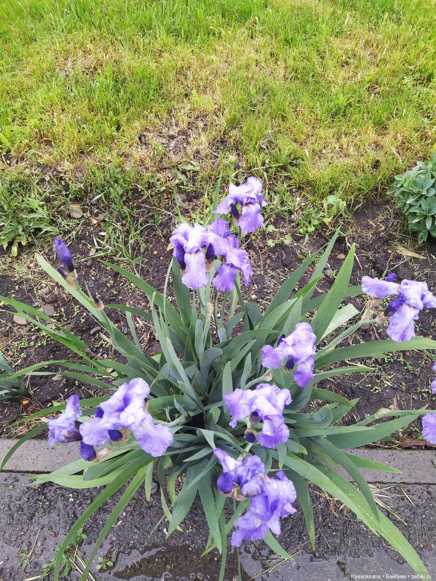 "Остановись, мгновенье!" У природы нет плохой погоды | Бэйбики "Остановись, мгновенье!" У природы нет плохой погоды