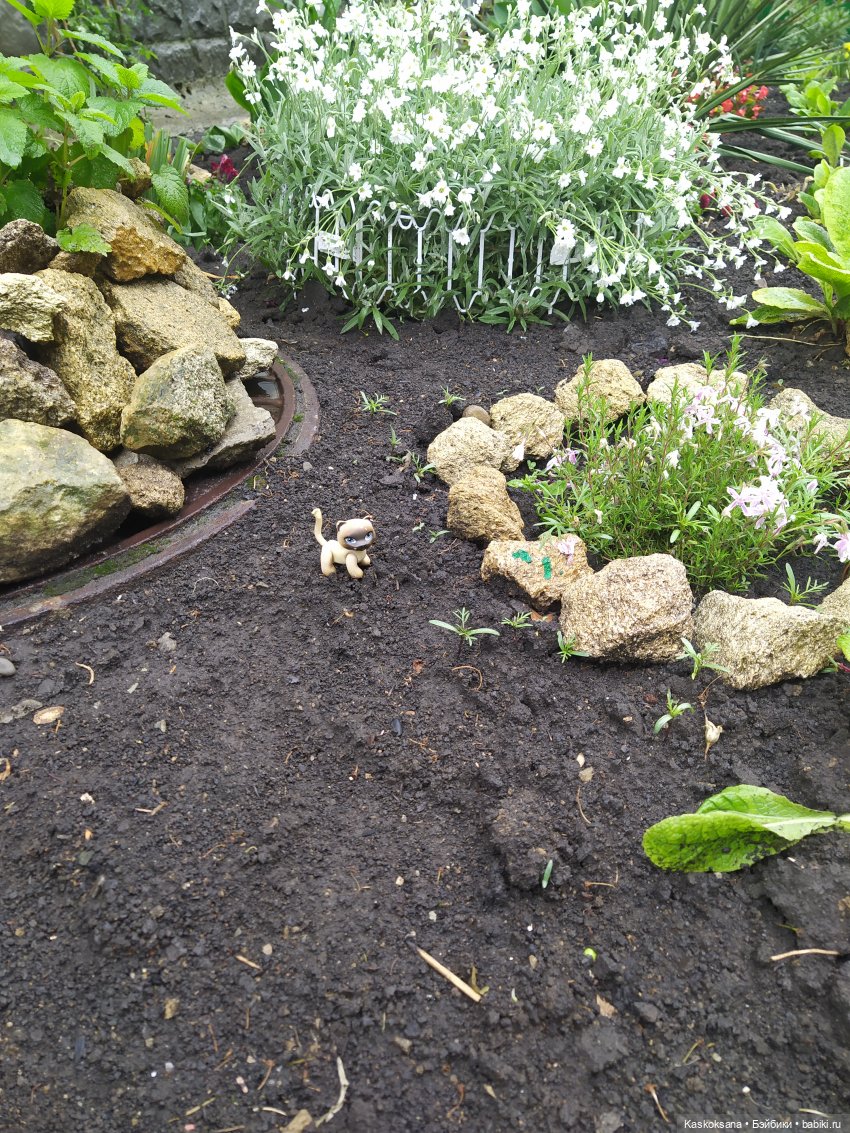 "Остановись, мгновенье!" У природы нет плохой погоды | Бэйбики "Остановись, мгновенье!" У природы нет плохой погоды