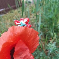 "Остановись, мгновенье!" У природы нет плохой погоды