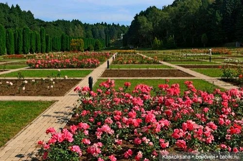 "Мик и К" Момент | Бэйбики "Мик и К" Момент — Кукольные фотоистории и сериалы: комиксы