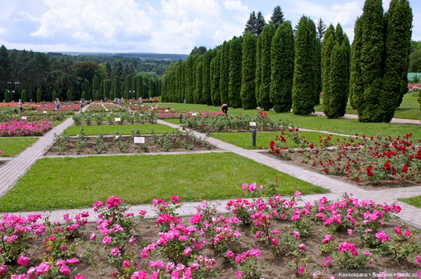 "Мик и К" Момент | Бэйбики "Мик и К" Момент — Кукольные фотоистории и сериалы: комиксы