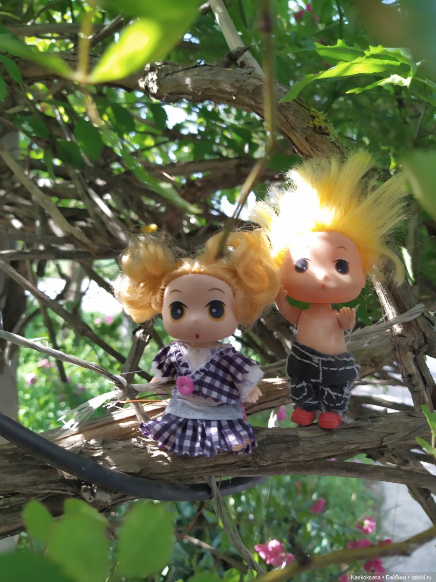 Как Любимчики лето встречали. Ч. 1 Цветочно-фруктовая