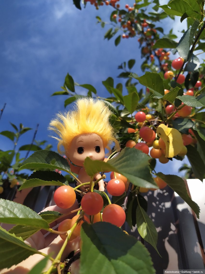 Как Любимчики лето встречали. Ч. 1 Цветочно-фруктовая (фото 8)